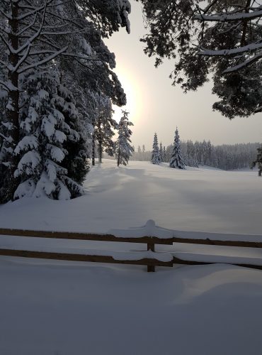 Perunkirjoitus, perunkirjoitus Savonlinnassa