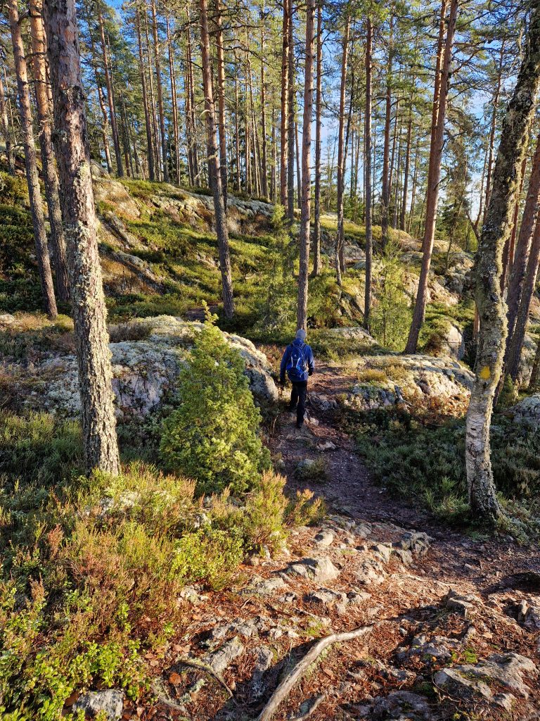 Soininmäki, Pihlajaveden ulkoilualue
